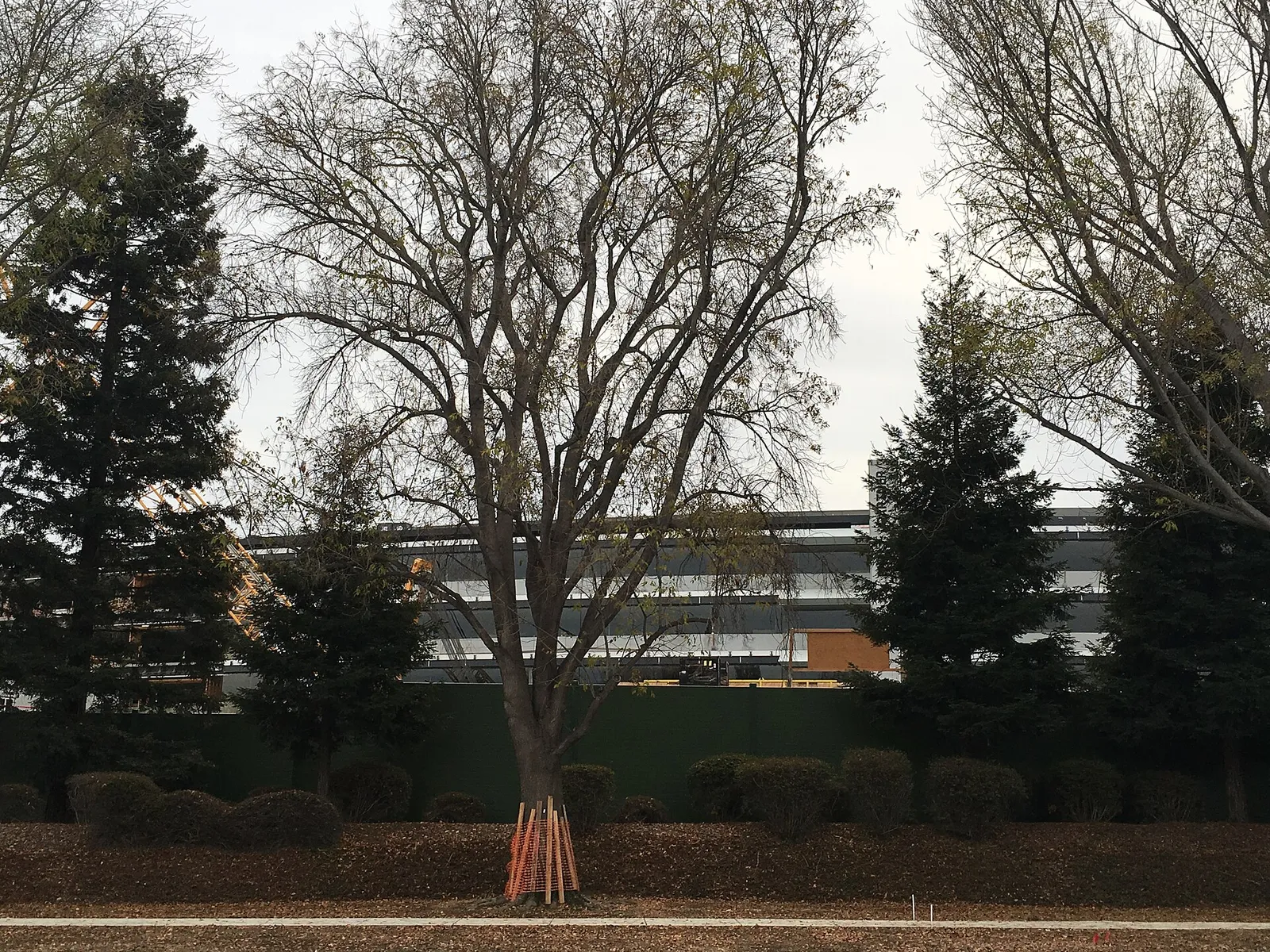 Der Apple Park in Cupertino