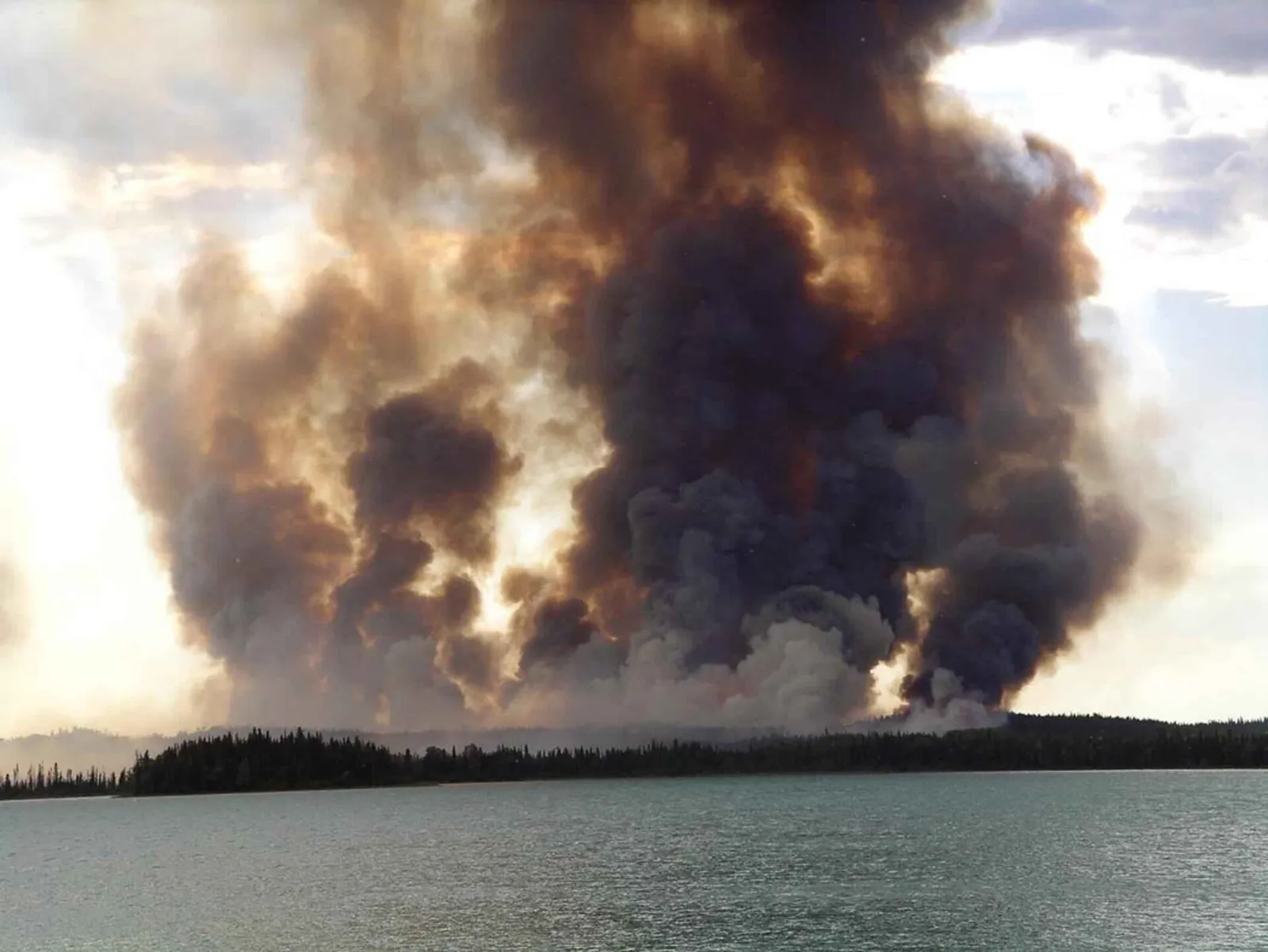 Flammen in einem Wald (Symbolbild)